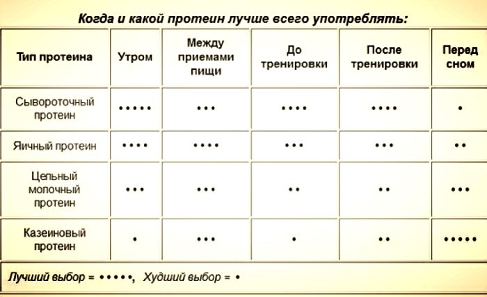 Белок – это сила